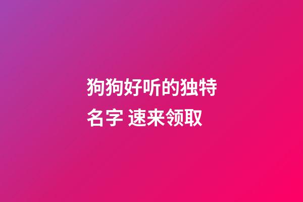 狗狗好听的独特名字 速来领取